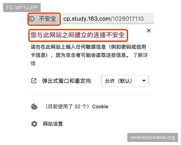确保您访问的是开云官网入口地址的安全性提示